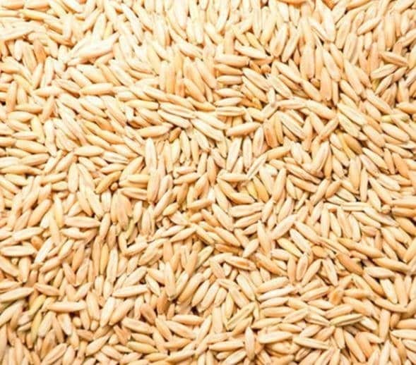 جو چاق و تمیز و آرد گوسفندی