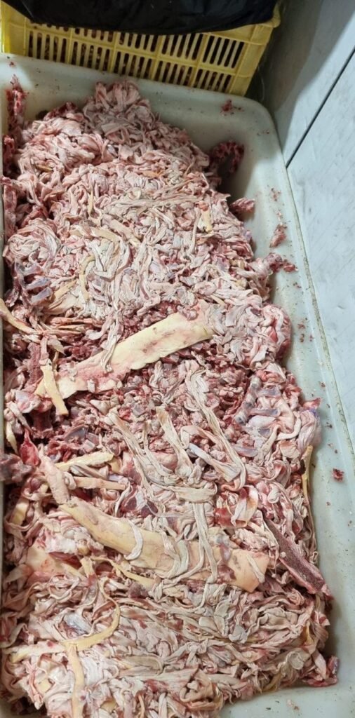 سگ غذای سگ اشغال گوشت بره