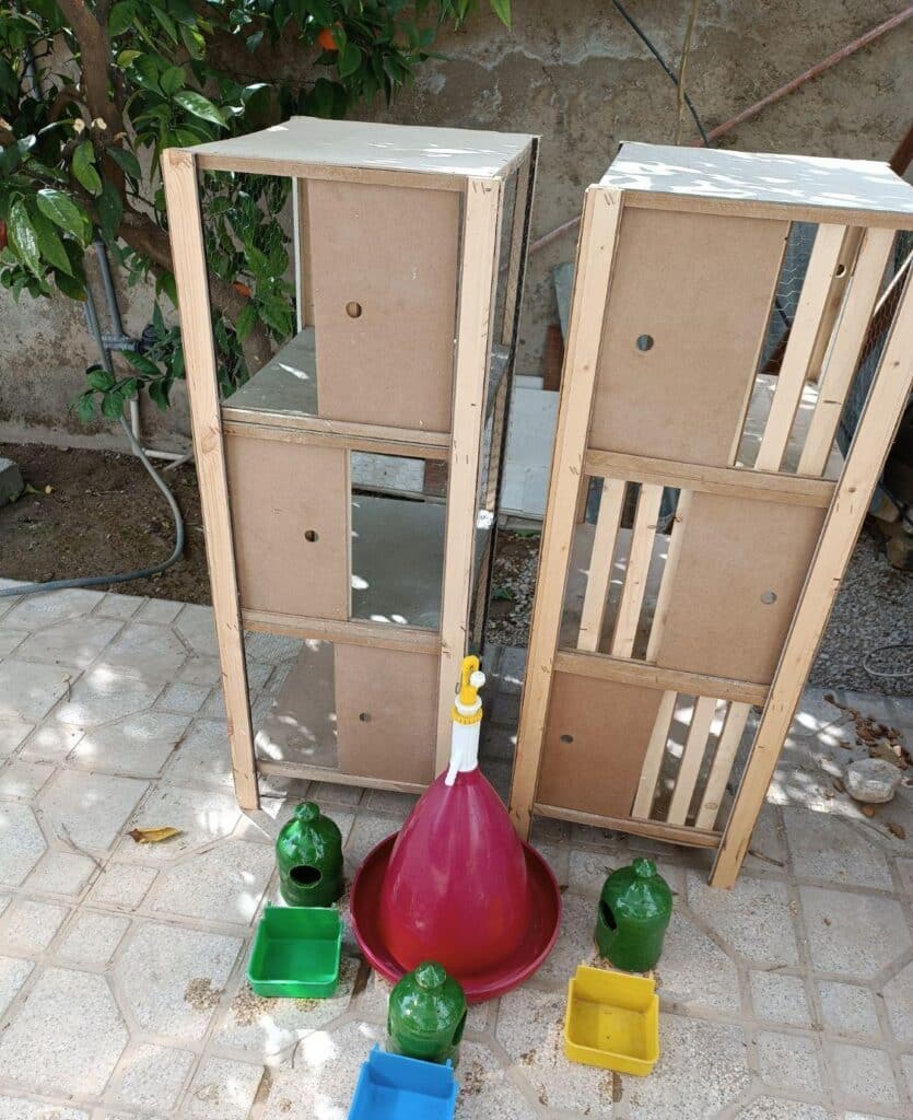 کبوتر جفتگاه فیروزآباد