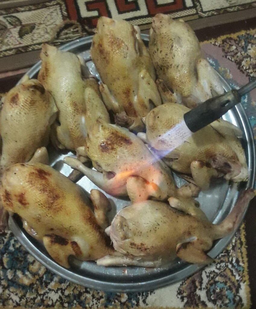 مرغ مادر تخمگذار
