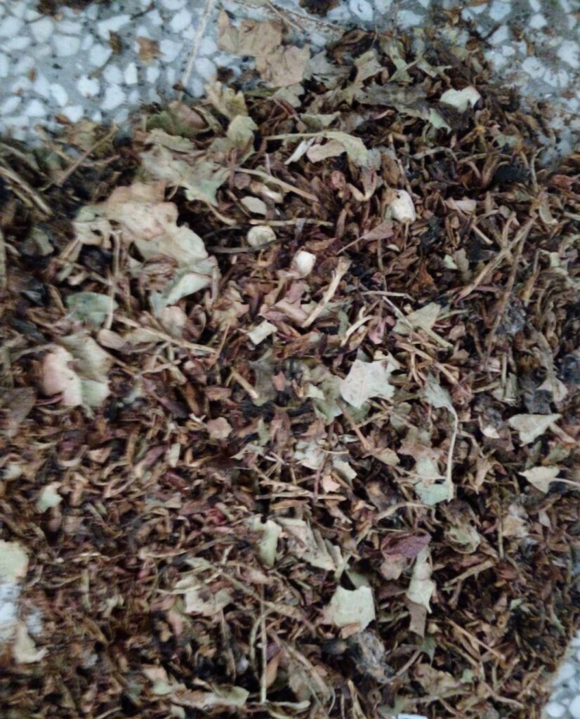 فروش پوست پسته برای خوراک شتر گاو بره و بز
