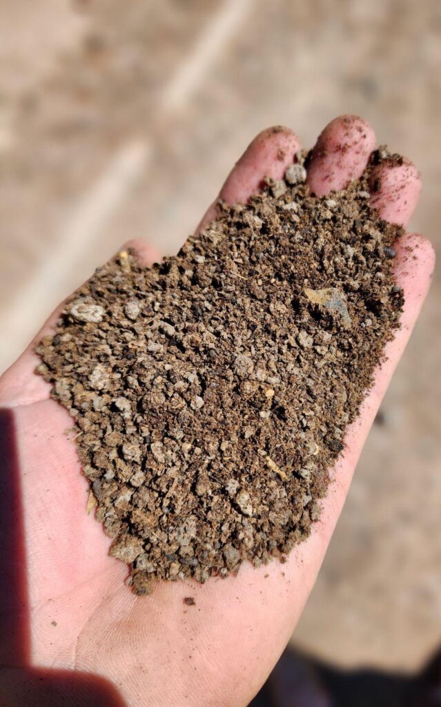 کنسانتره دام (جایگزین جو، سویا و ذرت)