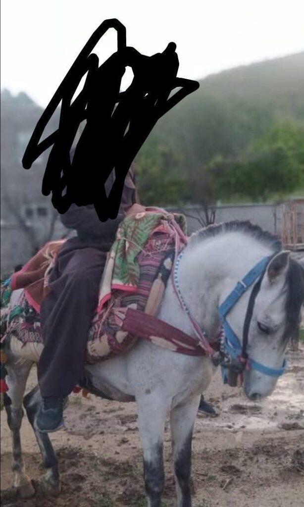 اسب