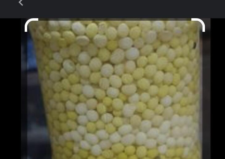 خاویار حلزون