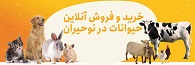 چقدر برای تبلیغات هزینه کنیم