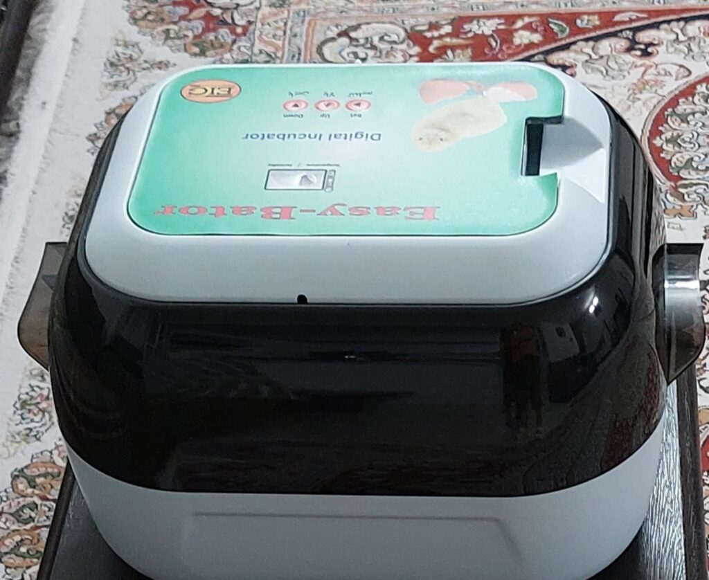 دستگاه جوجه کشی