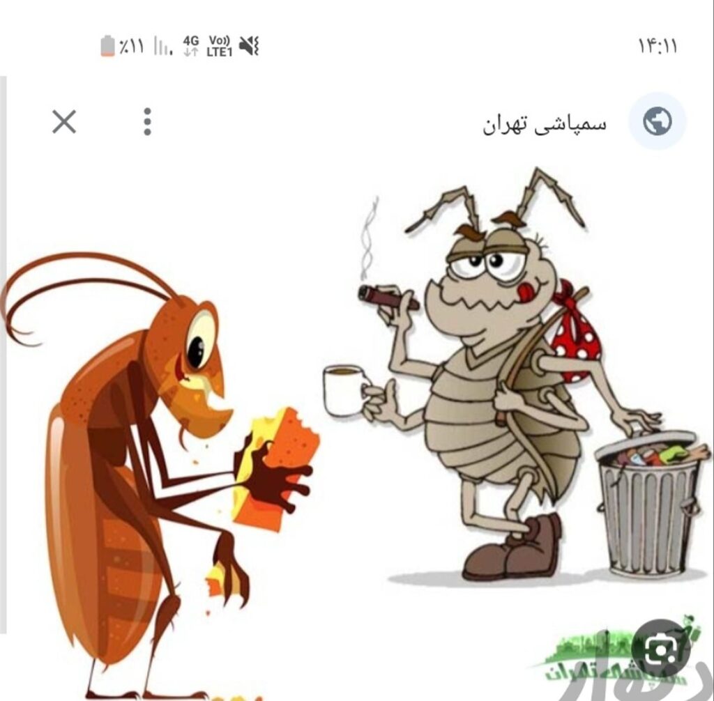 خدمات سم پاشی