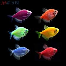 حیوانات خانگی