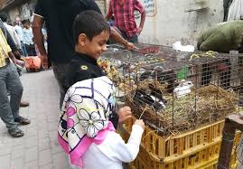 تجارت با حیوانات