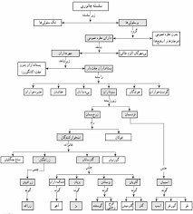 اپلیکیشن حیوانات و پرندگان نوحیران