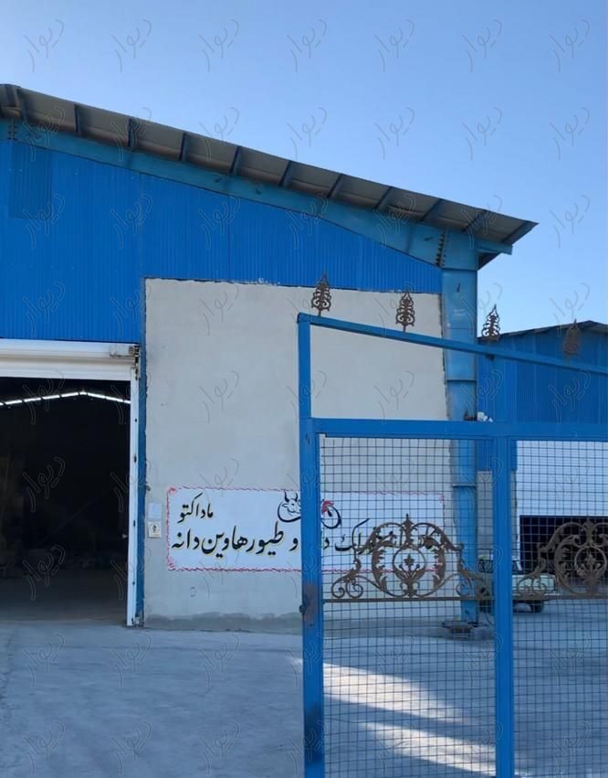 کارخانه خوراک دام و طیور