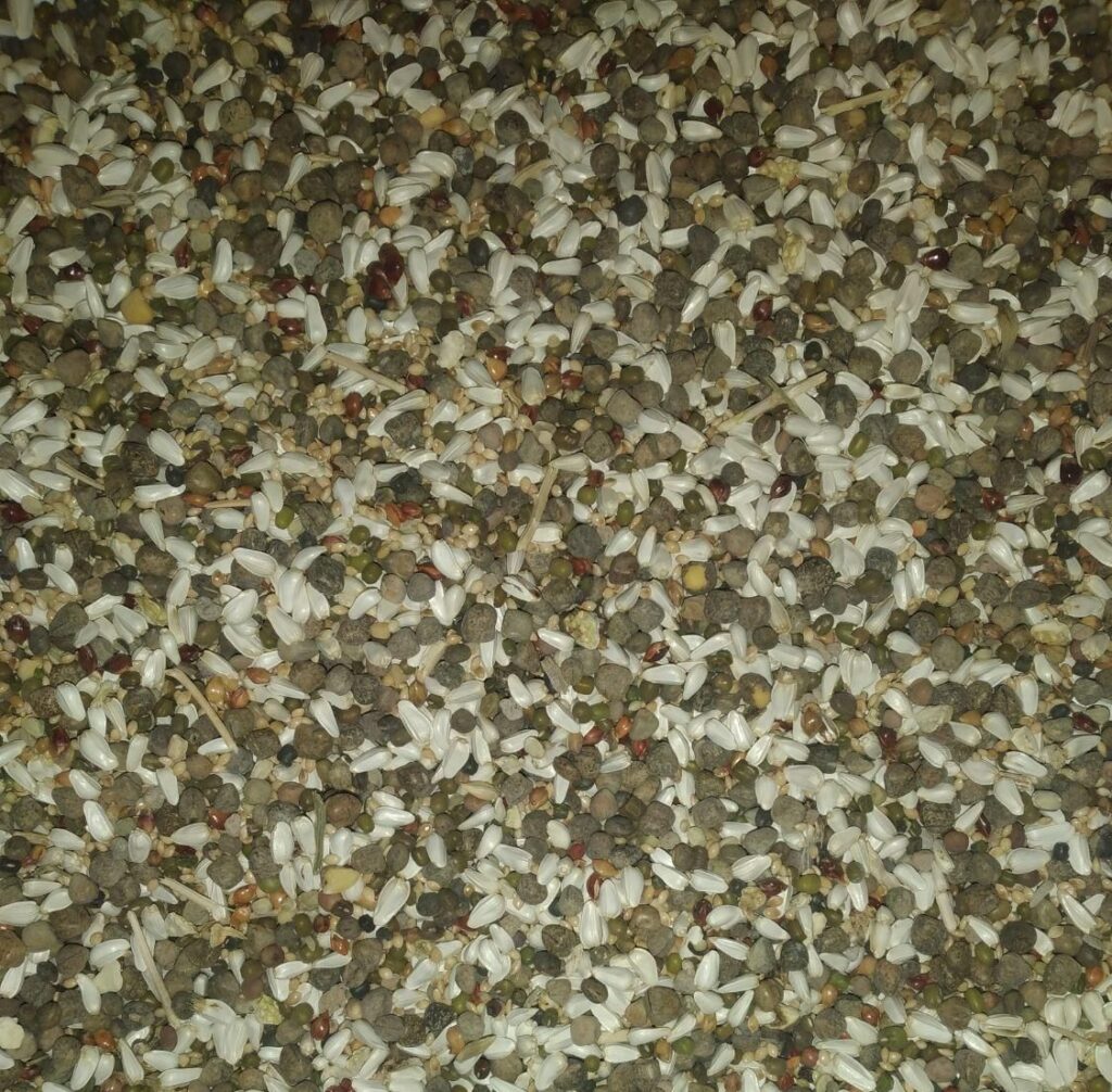 عرضه انواع دانه‌های پرندگان