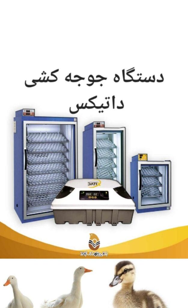 دستگاه جوجه کشی ،،غاز و بوقلمون،،