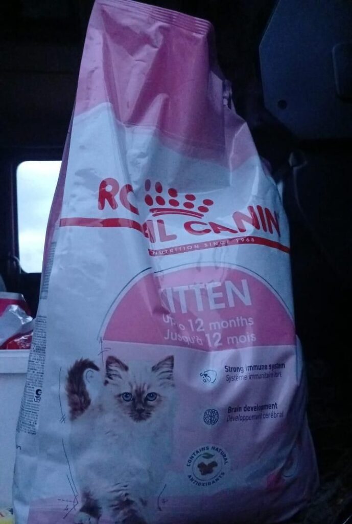 رویال کنین کیتن ١٠ کیلویی /royal canin kitten10kg