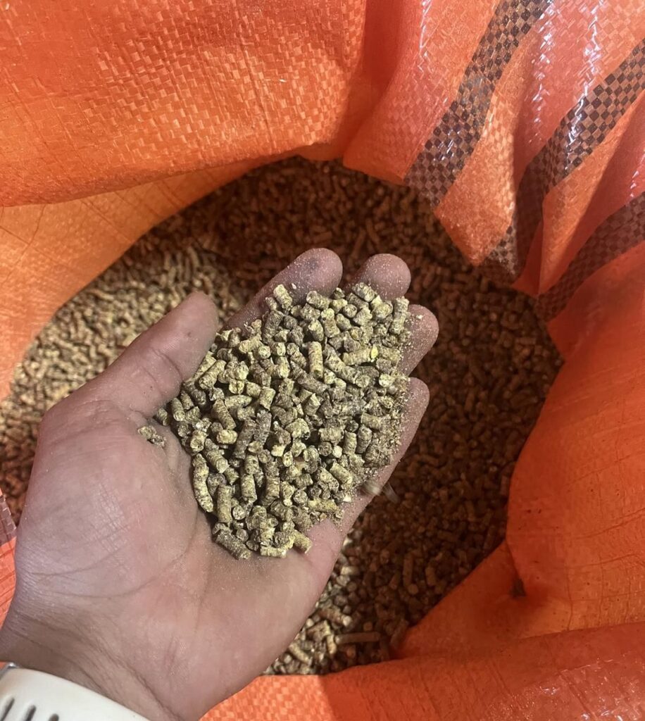خوراک دام پرواری و طیور تخم گذار و گوشتی