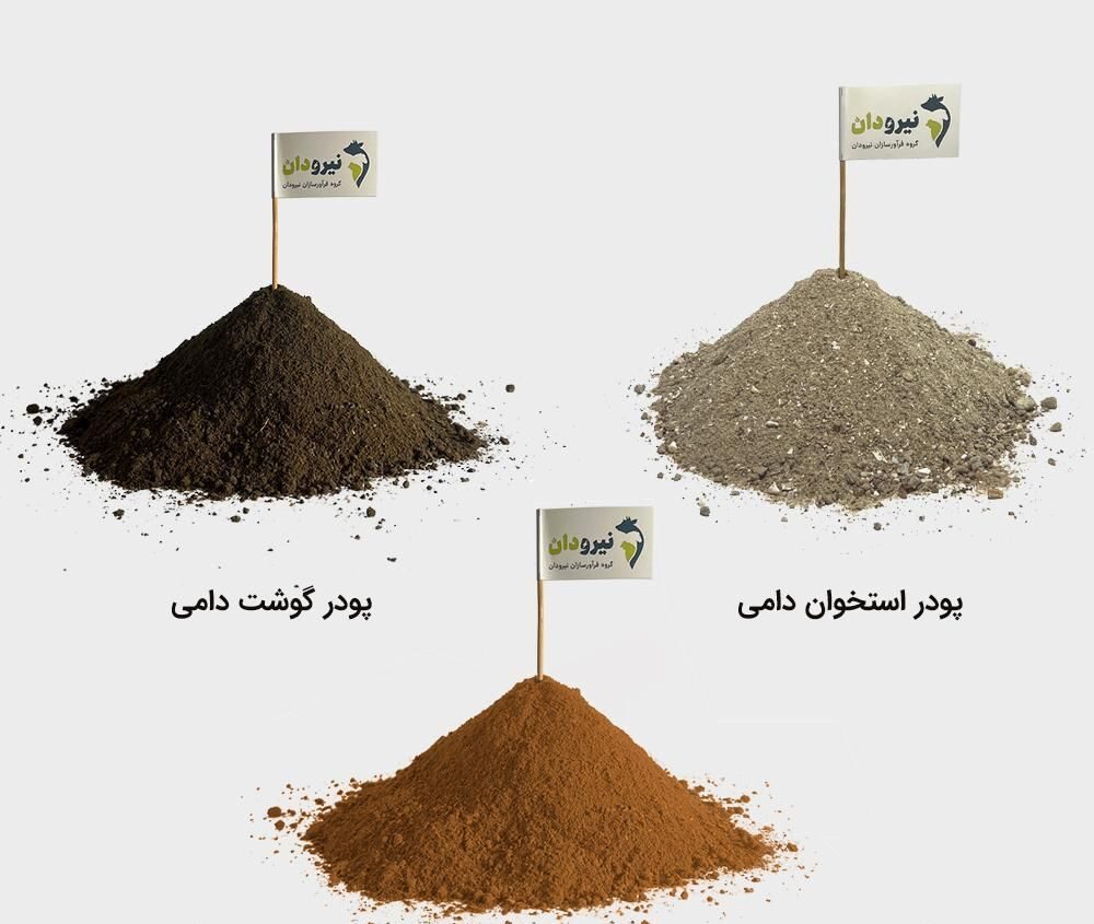 محصولات پودری جایگزین در جیره خوراک دام و طیور