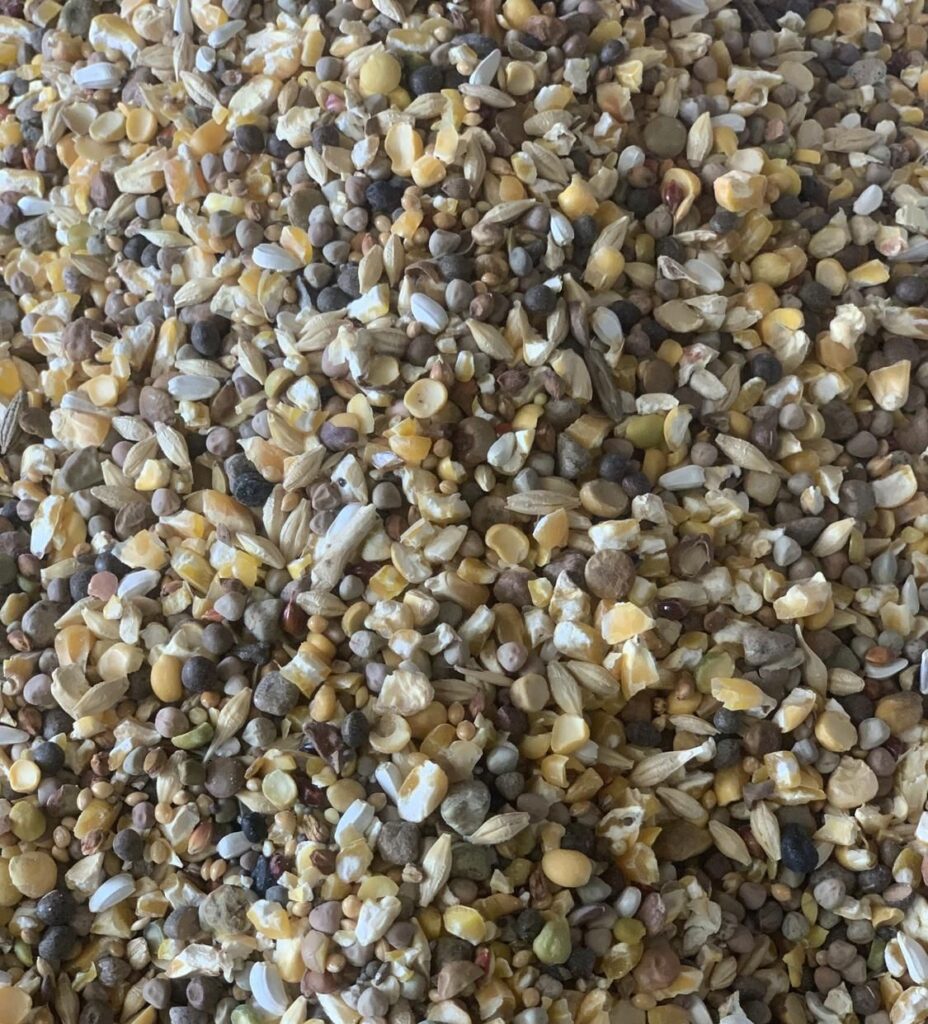 خوراک دام و طیور / خوراک طیور