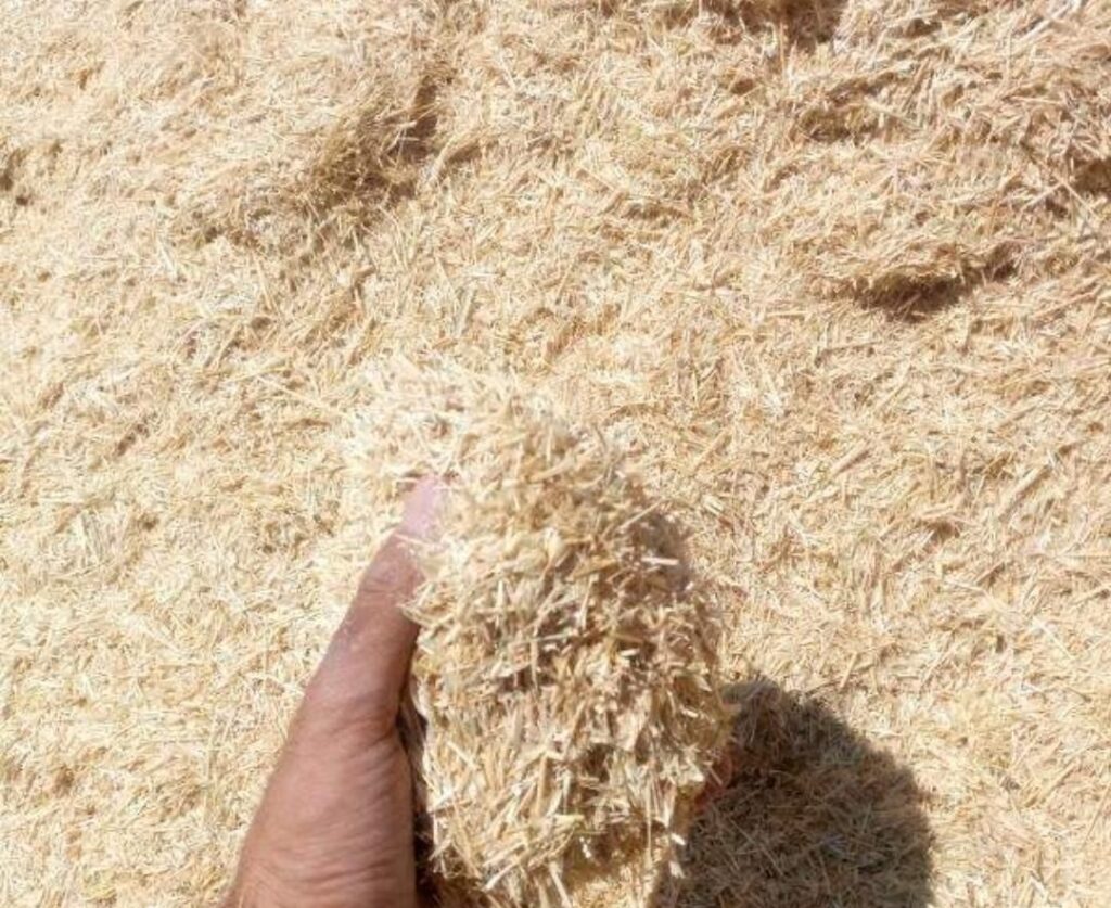 کاه گندم مرغوب و با کیفیت