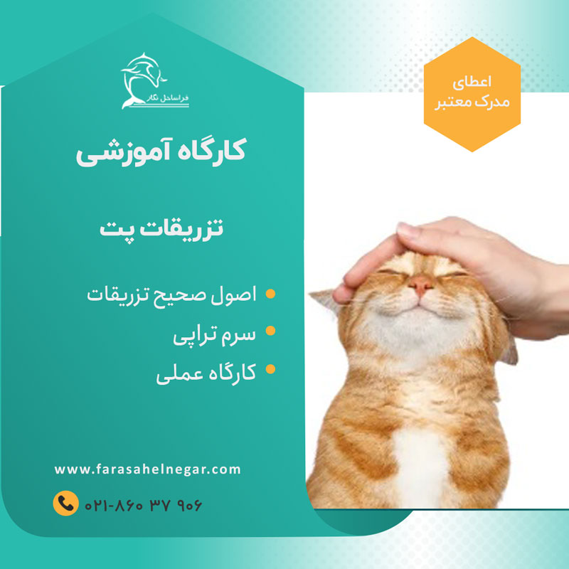 دوره آموزشی تزریقات پت