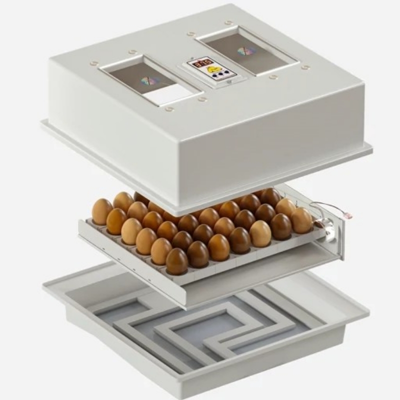 دستگاه جوجه کشی ۴۲ تایی کاکس