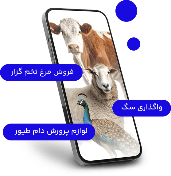 قیمت مرغ شاخدار نر و ماده