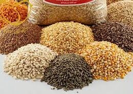 ۱۰ نکته حرفه‌ای برای انتخاب خوراک استاندارد و سالم