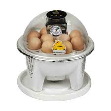 بهترین دستگاه جوجه کشی