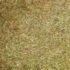 خوراک دام